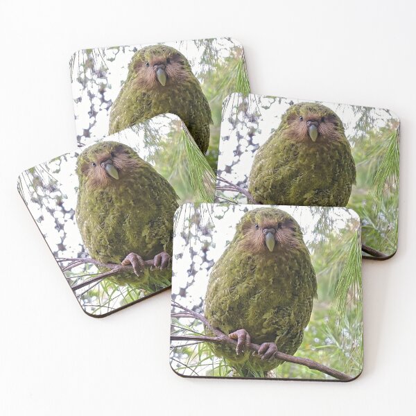Item preview, Rare Kakapo Parrot in New Zealand Nature designed and sold by Dreamy Armine Art.