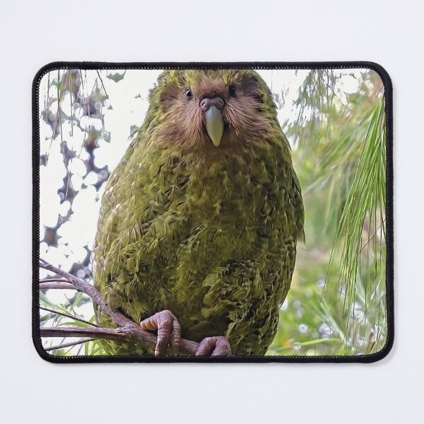 Item preview, Rare Kakapo Parrot in New Zealand Nature designed and sold by Dreamy Armine Art.
