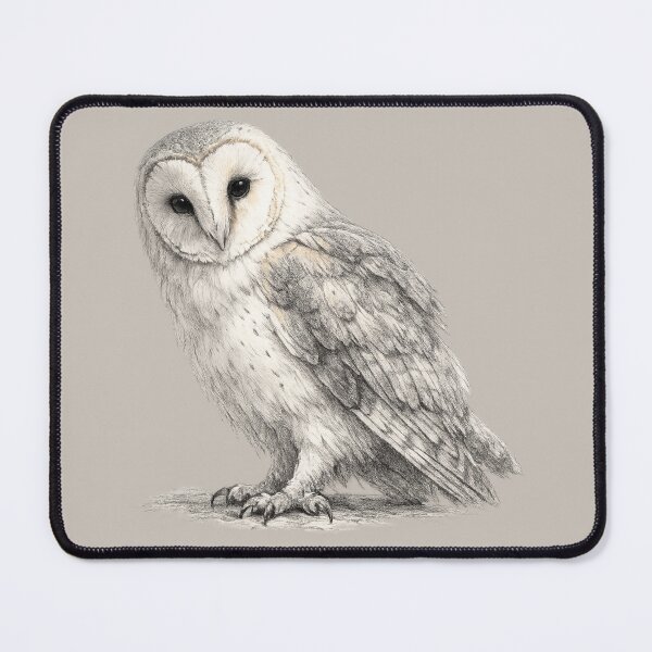 Item preview, Contemplative Barn Owl Pencil Wildlife Illustration designed and sold by ChirpInc.