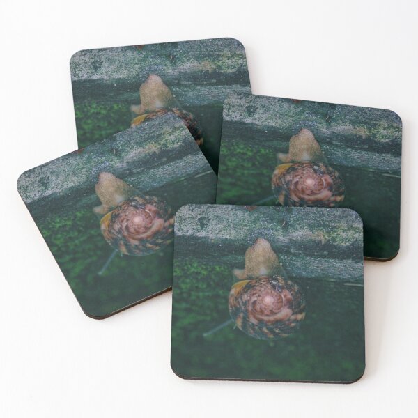 Item preview, verdant ride designed and sold by AishsWhiz.