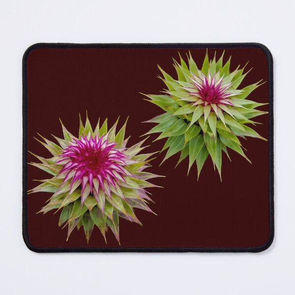 Item preview, Thistles designed and sold by OddLilFox.