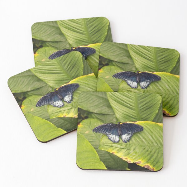 Item preview, Mormon Butterfly On Tropical Leaf designed and sold by CMi-Designs.