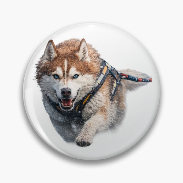 Item preview, Lone Husky Artwork T-shirt 1 designed and sold by IndyQuests.