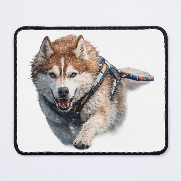 Item preview, Lone Husky Artwork T-shirt 1 designed and sold by IndyQuests.
