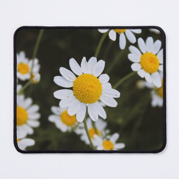 Item preview, Wild Daisies in Bloom designed and sold by shhiscat.