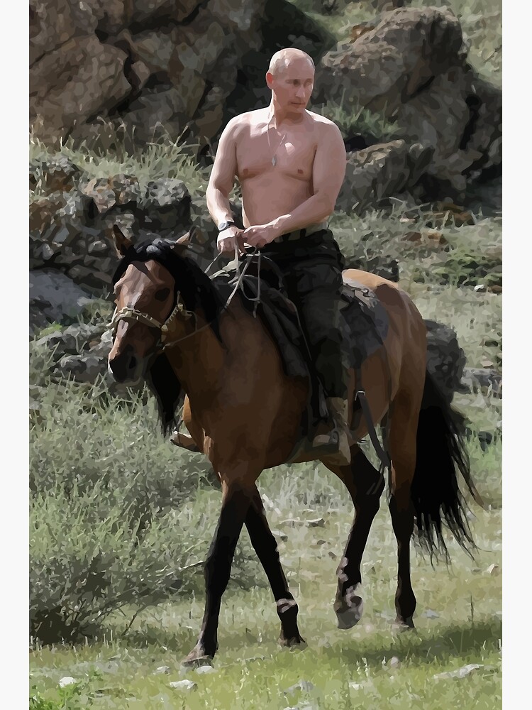 Putin Auf Pferd