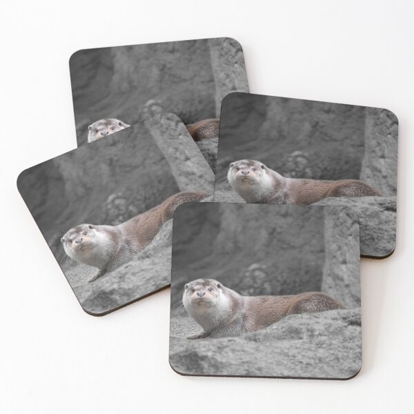 Item preview, otter perched on the rock designed and sold by El pato garabato.