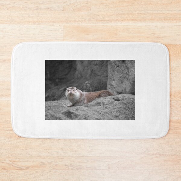 Item preview, otter perched on the rock designed and sold by El pato garabato.