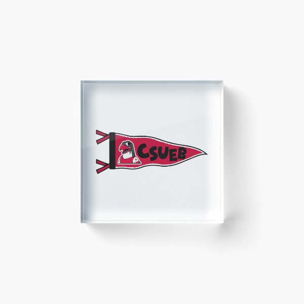 Item preview, CSU East Bay Pioneers Pennant - CSUEB Hayward Campus Decor designed and sold by jrojnp.