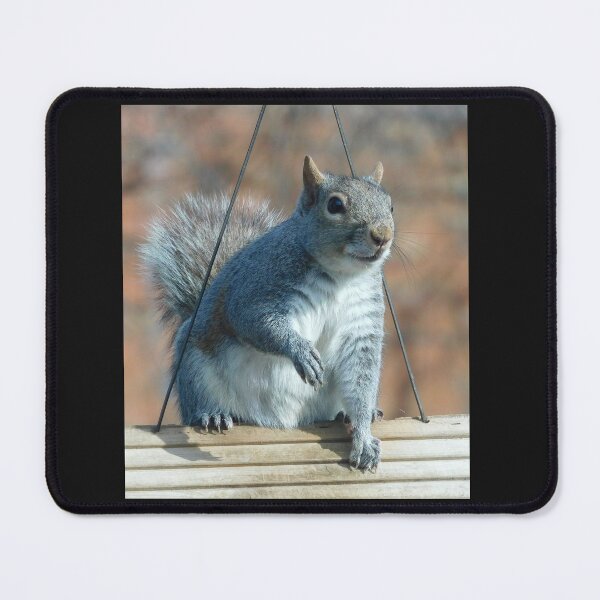Item preview, Squirrel on a feeder designed and sold by AmyBsPics.