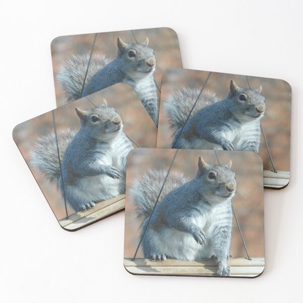Item preview, Squirrel on a feeder designed and sold by AmyBsPics.