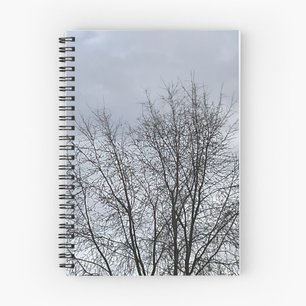 Item preview, Different Frames, Different Trees designed and sold by Abeink1030.