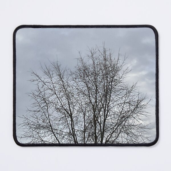 Item preview, Different Frames, Different Trees designed and sold by Abeink1030.