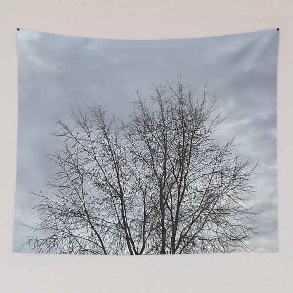 Item preview, Different Frames, Different Trees designed and sold by Abeink1030.