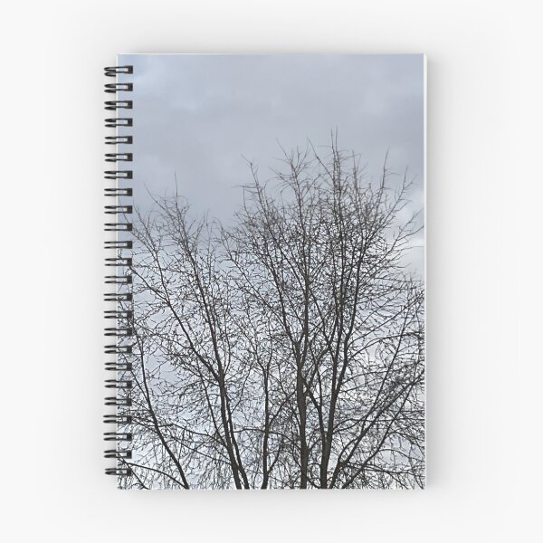 Item preview, Different Frames, Different Trees designed and sold by Abeink1030.