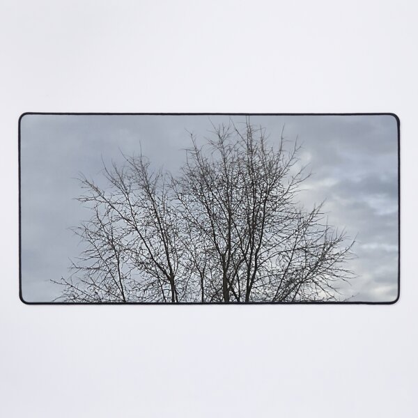 Item preview, Different Frames, Different Trees designed and sold by Abeink1030.