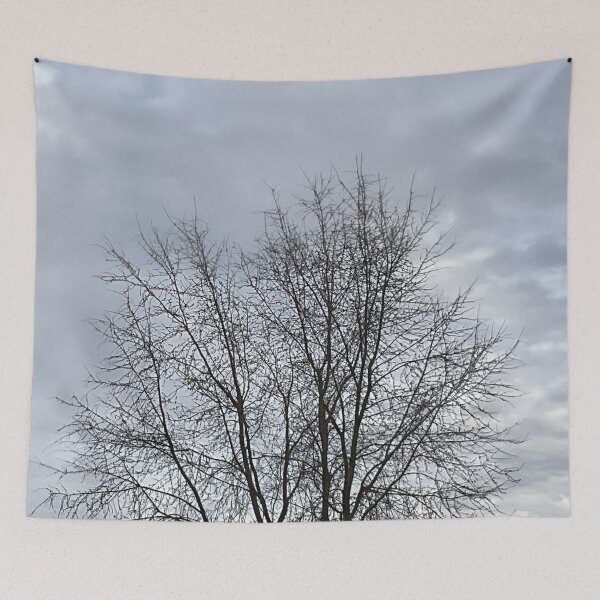 Item preview, Different Frames, Different Trees designed and sold by Abeink1030.