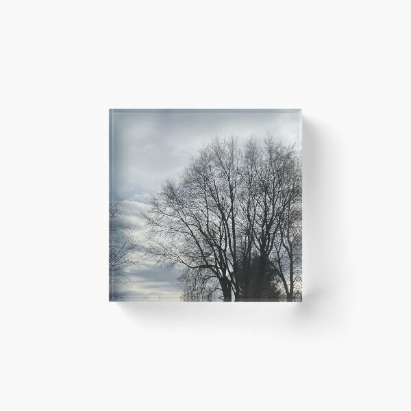 Item preview, Different Frames, Different Trees designed and sold by Abeink1030.