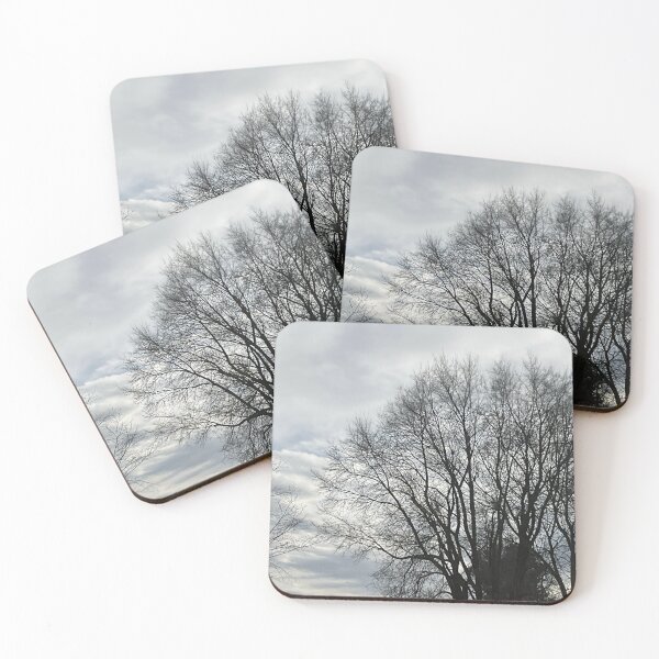 Item preview, Different Frames, Different Trees designed and sold by Abeink1030.