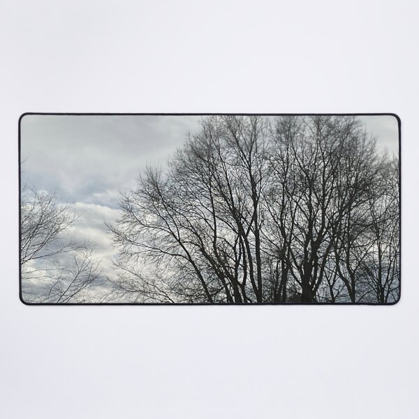 Item preview, Different Frames, Different Trees designed and sold by Abeink1030.