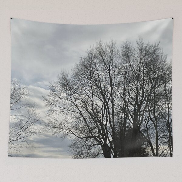 Item preview, Different Frames, Different Trees designed and sold by Abeink1030.