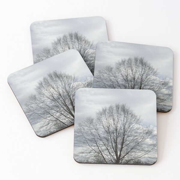 Item preview, Different Frames, Different Trees designed and sold by Abeink1030.