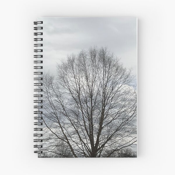 Item preview, Different Frames, Different Trees designed and sold by Abeink1030.