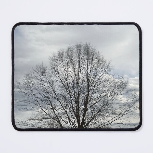 Item preview, Different Frames, Different Trees designed and sold by Abeink1030.