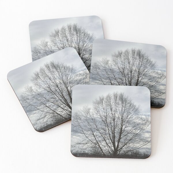 Item preview, Different Frames, Different Trees designed and sold by Abeink1030.