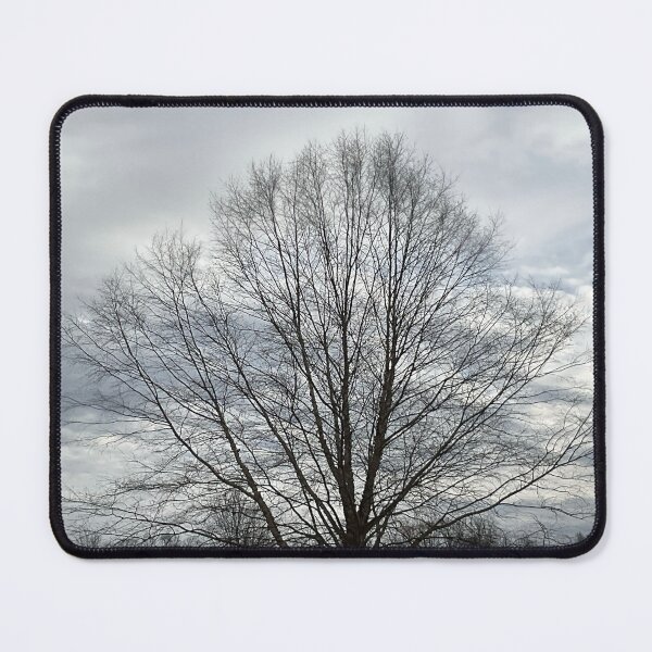 Item preview, Different Frames, Different Trees designed and sold by Abeink1030.