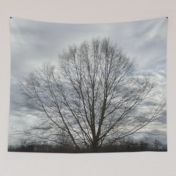 Item preview, Different Frames, Different Trees designed and sold by Abeink1030.