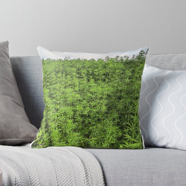 Hemp plantation Throw Pillow