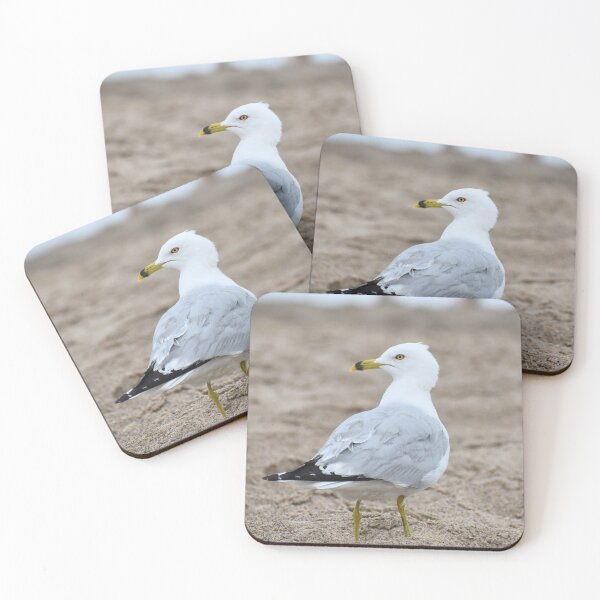 Item preview, Seagull Standing designed and sold by Kathleen Brant.
