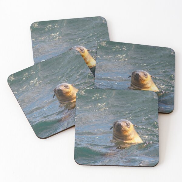 Item preview, Sealy friend designed and sold by jdrphotos.