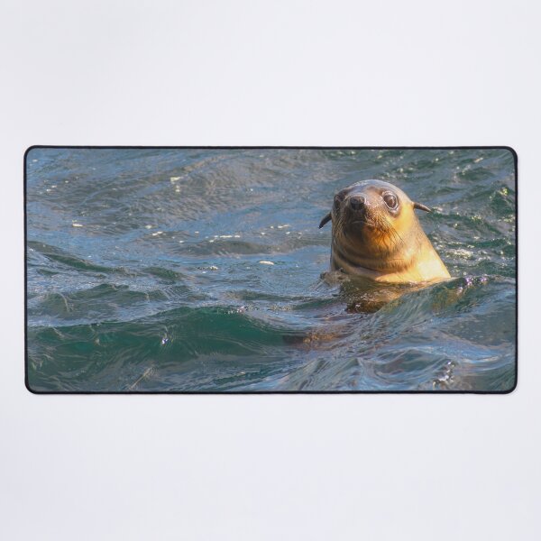Item preview, Sealy friend designed and sold by jdrphotos.