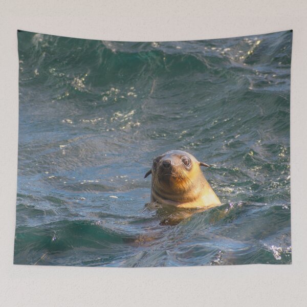 Item preview, Sealy friend designed and sold by jdrphotos.