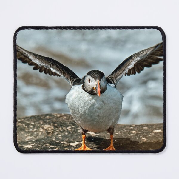 Item preview, The Puffin designed and sold by Tom McPherson Photography.