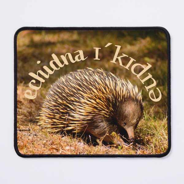 Item preview, Aussie Echidna - Text designed and sold by jdrphotos.