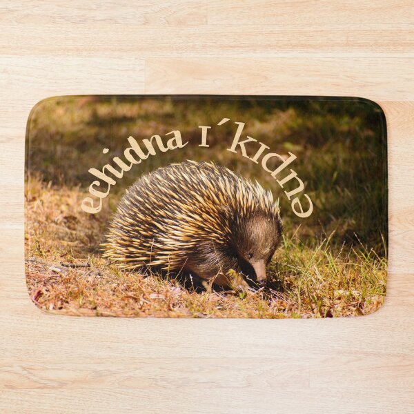 Item preview, Aussie Echidna - Text designed and sold by jdrphotos.