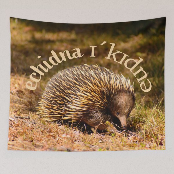 Item preview, Aussie Echidna - Text designed and sold by jdrphotos.