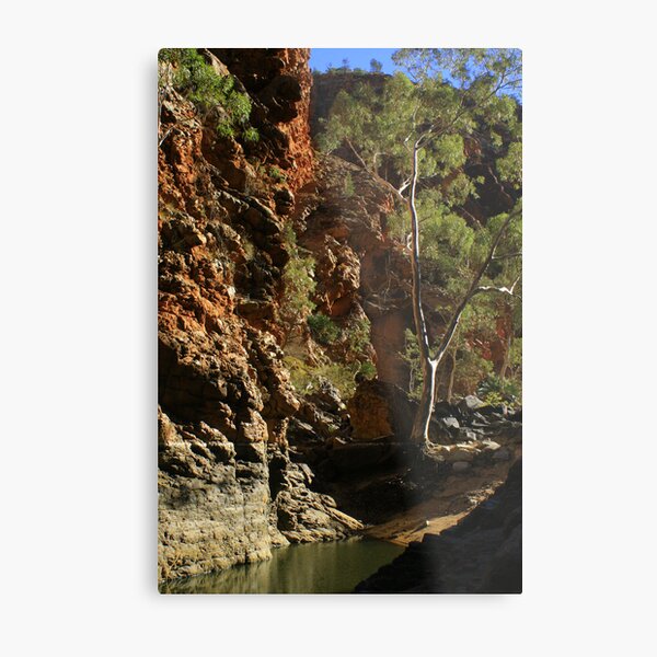 Serpentine Gorge - Larapinta Trail Metal Print