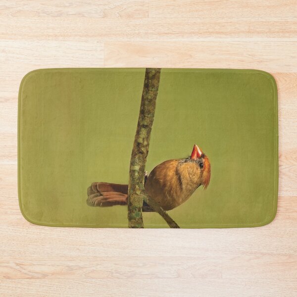 Item preview, Female Cardinal designed and sold by Kay Brewer.