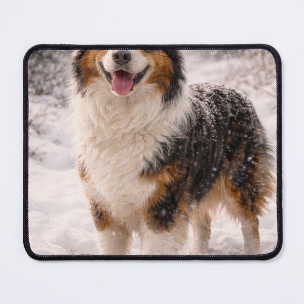 Item preview, Winter Watch – Australian Shepherd in Falling Snow designed and sold by VandVArt.