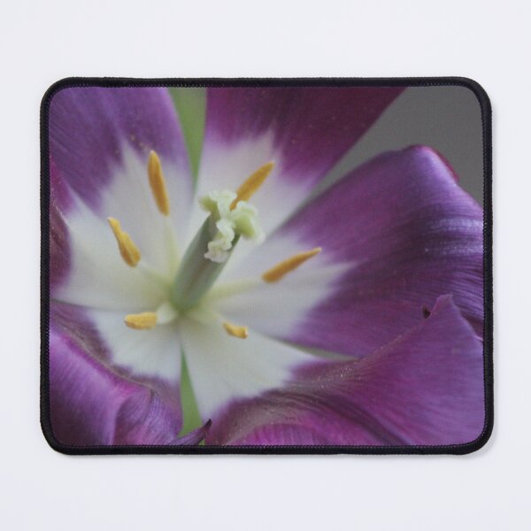 Item preview, Inside Tulip designed and sold by Linda Sannuti.
