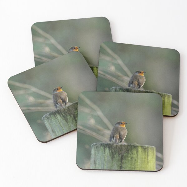 Item preview, Robin Red Breast designed and sold by Kirkman Photography.