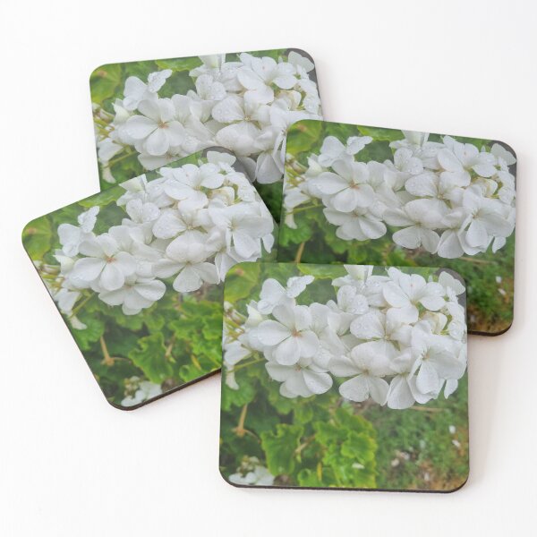 Item preview, Pelargonium designed and sold by BrittanyWilton.