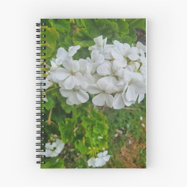 Item preview, Pelargonium designed and sold by BrittanyWilton.