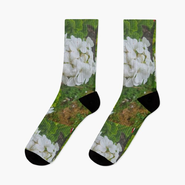 Item preview, Pelargonium designed and sold by BrittanyWilton.