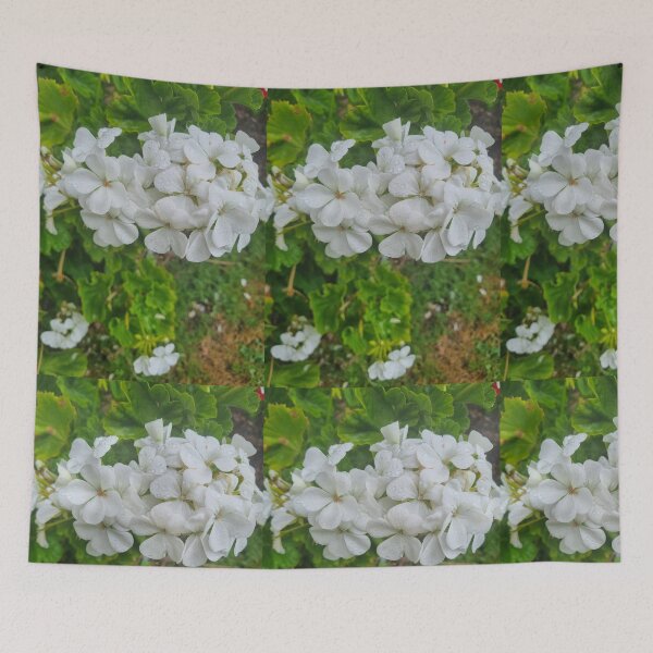 Item preview, Pelargonium designed and sold by BrittanyWilton.