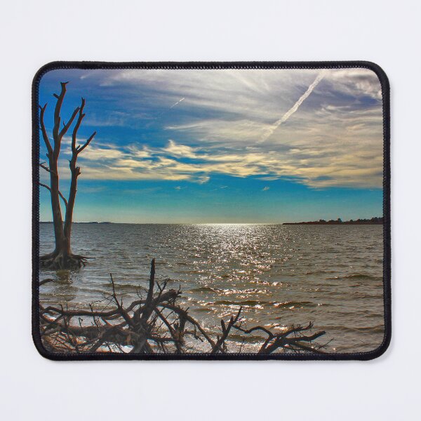 Item preview, Bayside View designed and sold by Linda Sannuti.